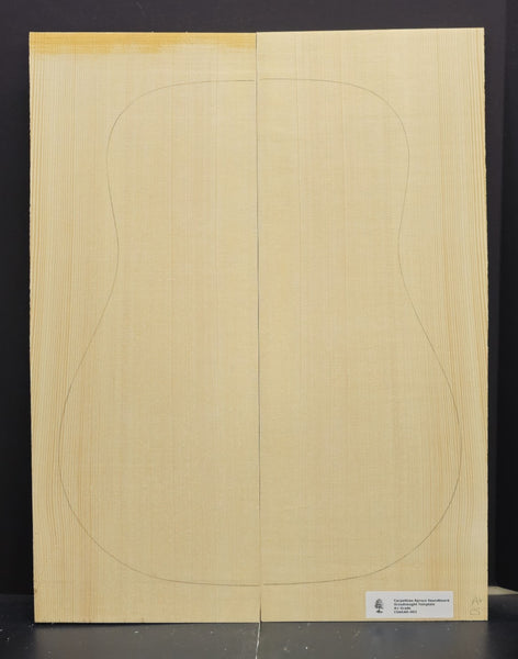 CARPATHIAN SPRUCE Soundboard Luthier Tonewood Guitar Wood Supplies CSAGAD-002