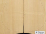 SITKA SPRUCE Soundboard Luthier Tonewood Guitar Wood Supplies SSAGBD-001