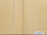 SITKA SPRUCE Soundboard Luthier Tonewood Guitar Wood Supplies SSAGBD-002