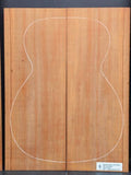 Padauk Back and Sides Luthier Tonewood Guitar Wood Supplies PADAGBSD-001