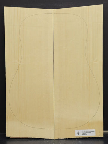 CARPATHIAN SPRUCE Soundboard Luthier Tonewood Guitar Wood Supplies CSAGBD-005