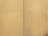 CARPATHIAN SPRUCE Soundboard Luthier Tonewood Guitar Wood Supplies CSAGAD-T001