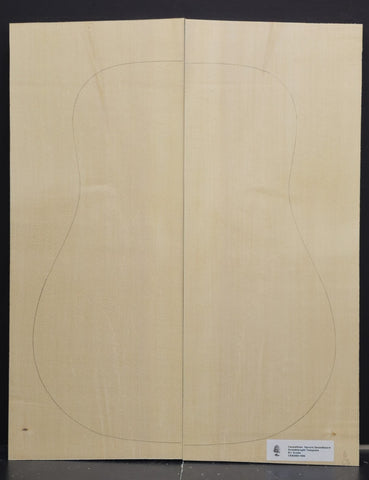 CARPATHIAN SPRUCE Soundboard Luthier Tonewood Guitar Wood Supplies CSAGBD-006