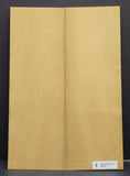 RED SPRUCE Torrefied Dreadnought Soundboard Luthier Tonewood Guitar Wood RSAGAD-T001