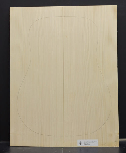 CARPATHIAN SPRUCE Soundboard Luthier Tonewood Guitar Wood Supplies CSAGAAD-004