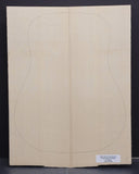 SITKA SPRUCE Soundboard Luthier Tonewood Guitar Wood Supplies SSAGAD-064