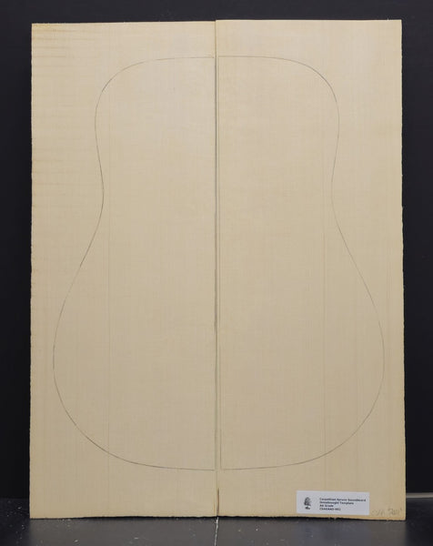 CARPATHIAN SPRUCE Soundboard Luthier Tonewood Guitar Wood Supplies CSAGAAD-002