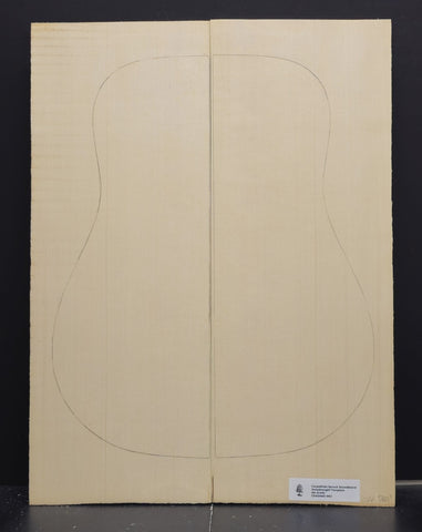 CARPATHIAN SPRUCE Soundboard Luthier Tonewood Guitar Wood Supplies CSAGAAD-002