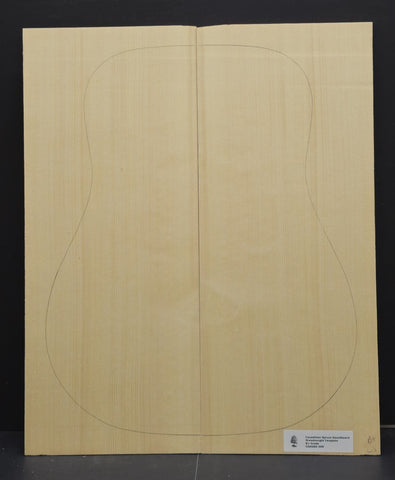 CARPATHIAN SPRUCE Soundboard Luthier Tonewood Guitar Wood Supplies CSAGBD-008