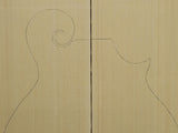 RED SPRUCE Mandolin Carve Top Luthier Tonewood Wood RSMANAAAF-007