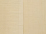 CARPATHIAN SPRUCE Soundboard Luthier Tonewood Guitar Wood Supplies CSAGAD-018