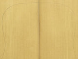 RED SPRUCE Dreadnought Soundboard Luthier Tonewood Guitar Wood RSAGAD-T004