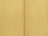 RED SPRUCE Torrefied Dreadnought Soundboard Luthier Tonewood Guitar Wood RSAGAD-T001