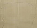 RED SPRUCE 00 Soundboard Luthier Tonewood Guitar Wood RSAGAOO-003