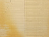 CARPATHIAN SPRUCE Soundboard Luthier Tonewood Guitar Wood Supplies CSAGAD-020