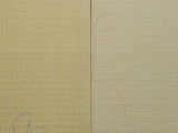 CARPATHIAN SPRUCE Soundboard Luthier Tonewood Guitar Wood Supplies CSAGAAD-008