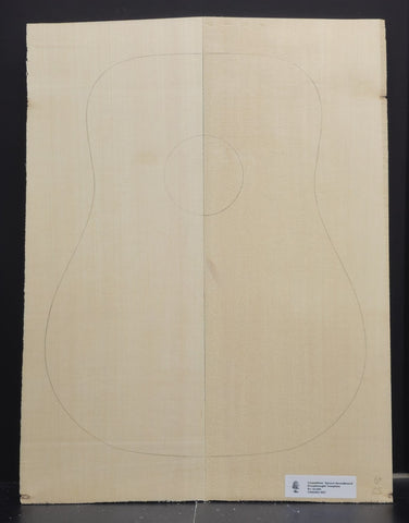 CARPATHIAN SPRUCE Soundboard Luthier Tonewood Guitar Wood Supplies CSAGBD-007