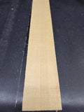 SITKA SPRUCE (6") Bracewood Luthier Tonewood Guitar Wood Supplies SSBRCW-000