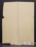 SITKA SPRUCE Soundboard Luthier Tonewood Guitar Wood Supplies SSAGAD-055
